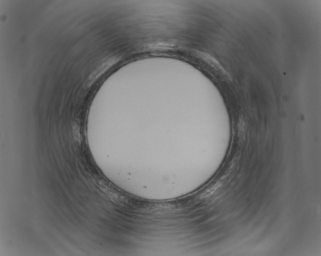 X0000073971209200609181443