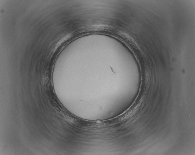 X0000073971210200609181443