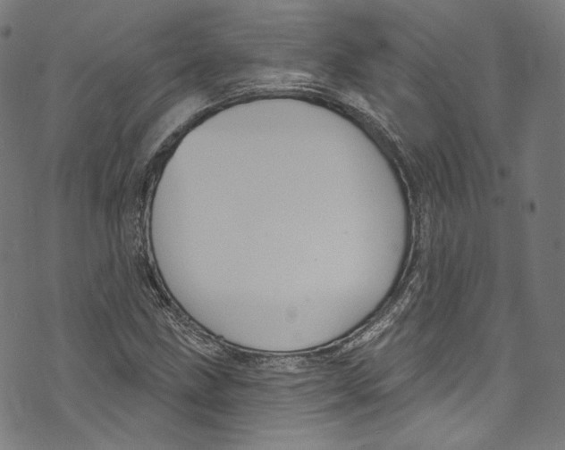 X0000073971211200609181443