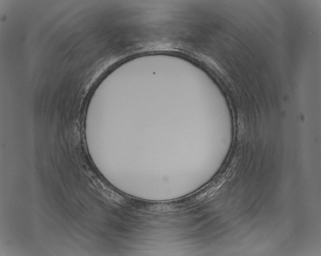 X0000073971212200609181443