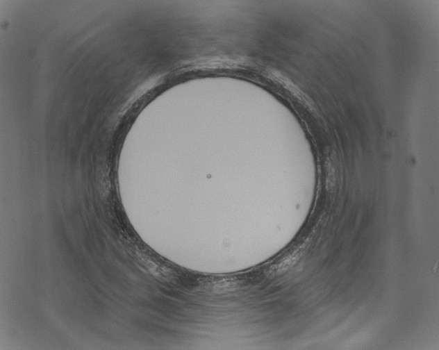 X0000073971213200609181443