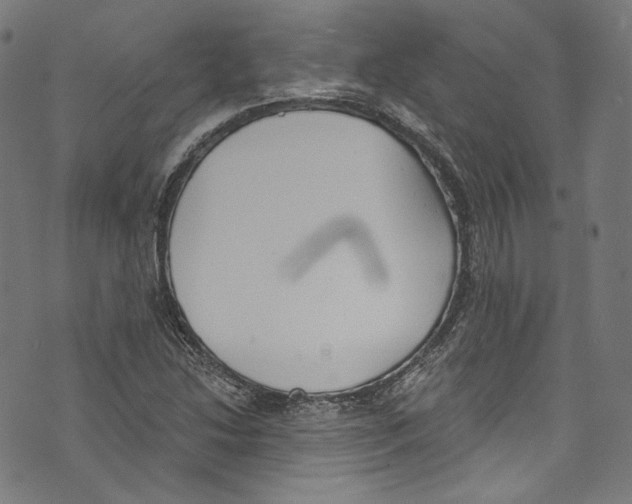 X0000073971214200609181443