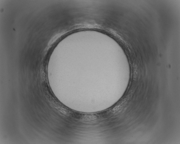 X0000073971215200609181443