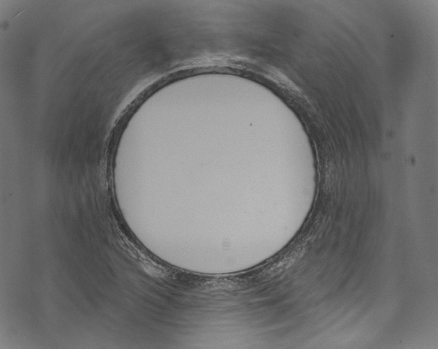 X0000073971216200609181443