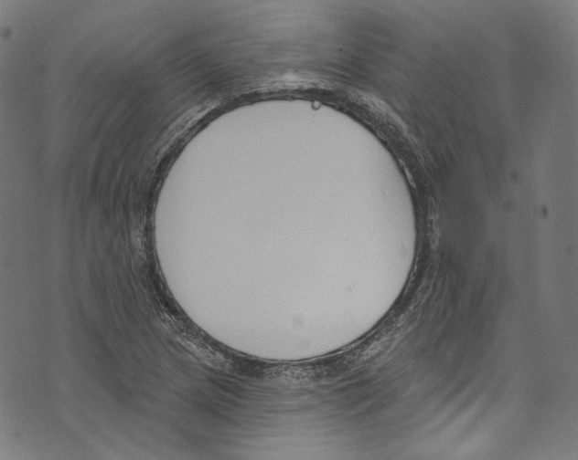 X0000073971217200609181443