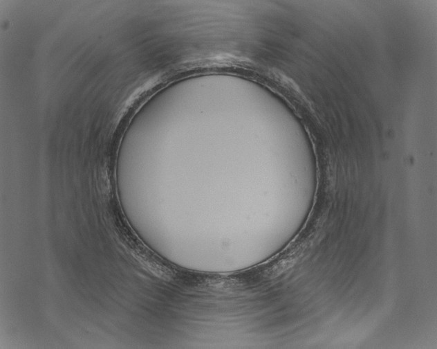 X0000073971218200609181443