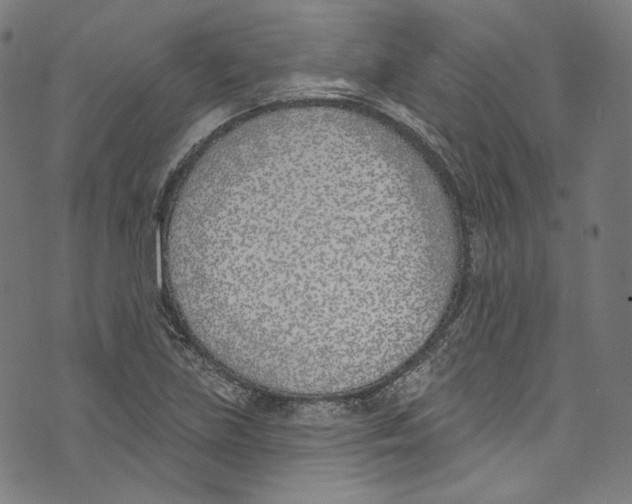 X0000073971219200609181443