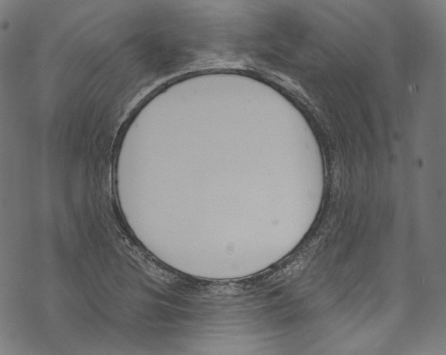 X0000073971220200609181443