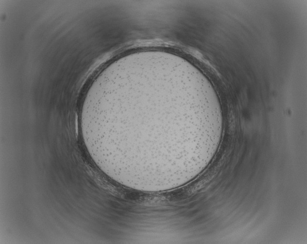 X0000073971221200609181443