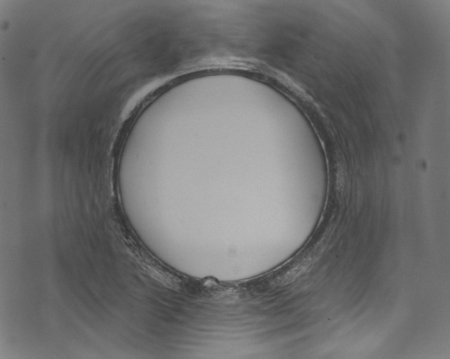 X0000073971222200609181443