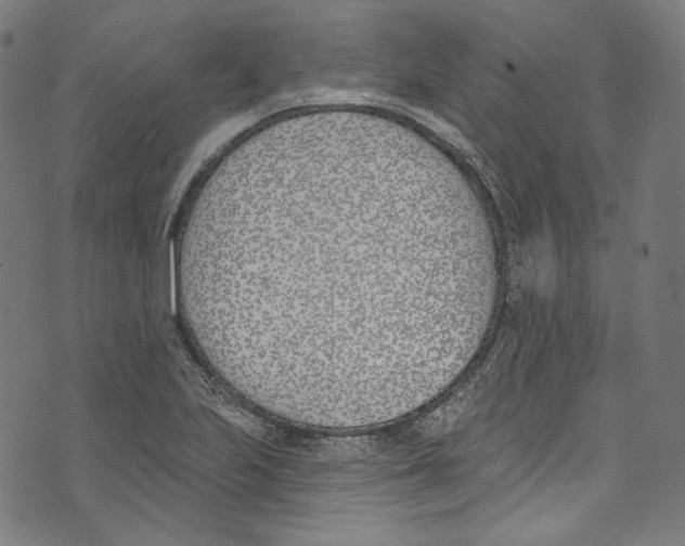 X0000073971223200609181443