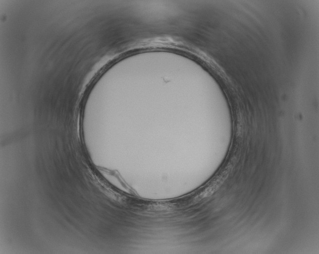 X0000073971224200609181443