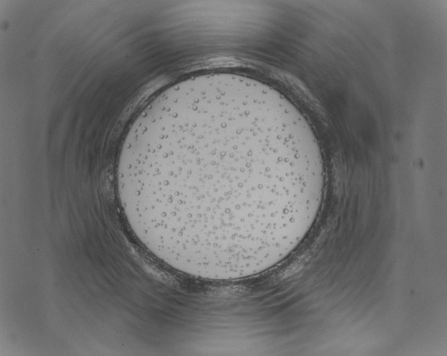 X0000073971225200609181443