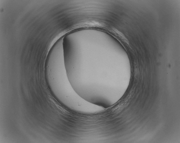 X0000073971226200609181443