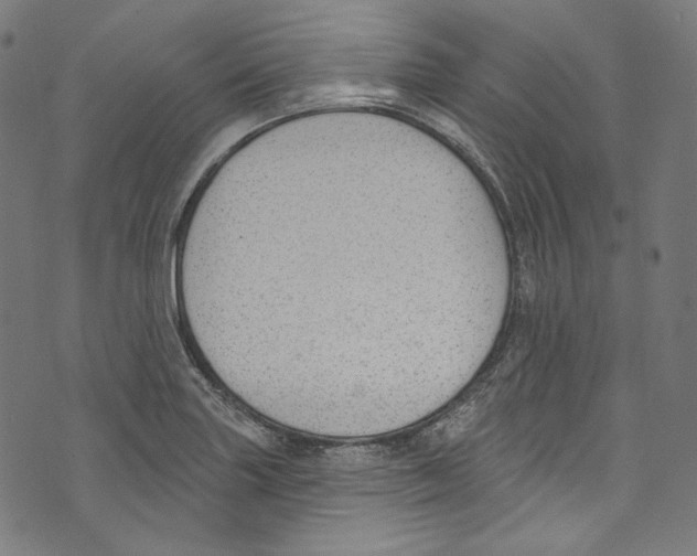 X0000073971227200609181443