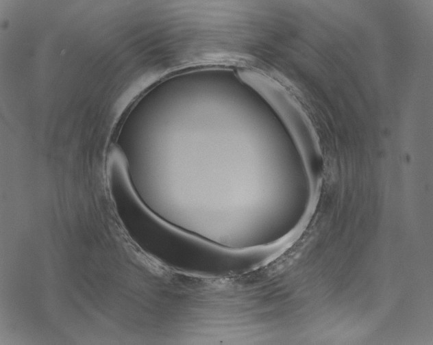 X0000073971230200609181443