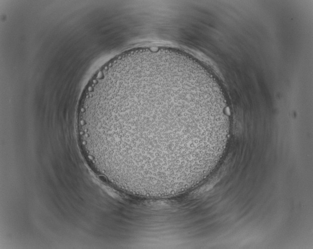 X0000073971231200609181443