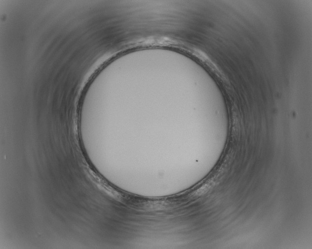 X0000073971232200609181443