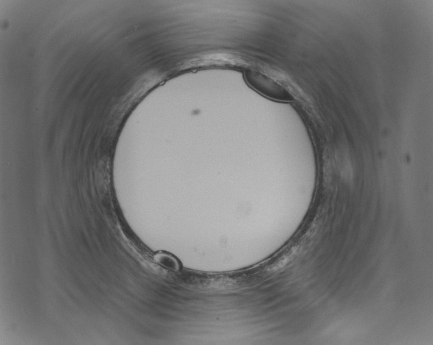 X0000073971233200609181443