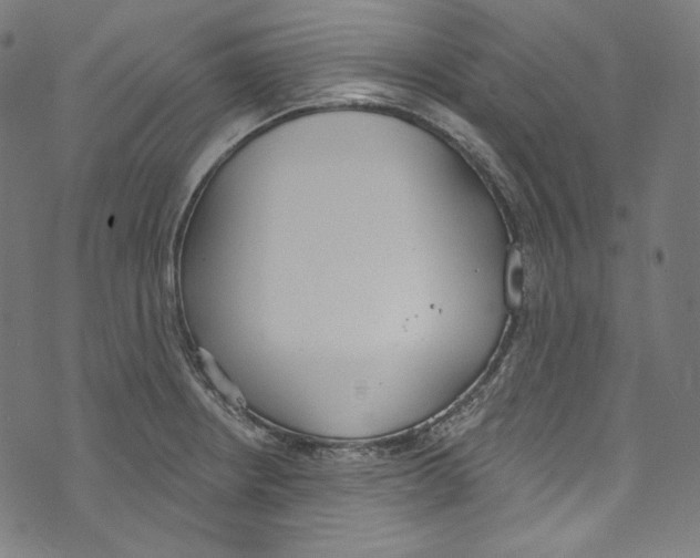 X0000073971234200609181443