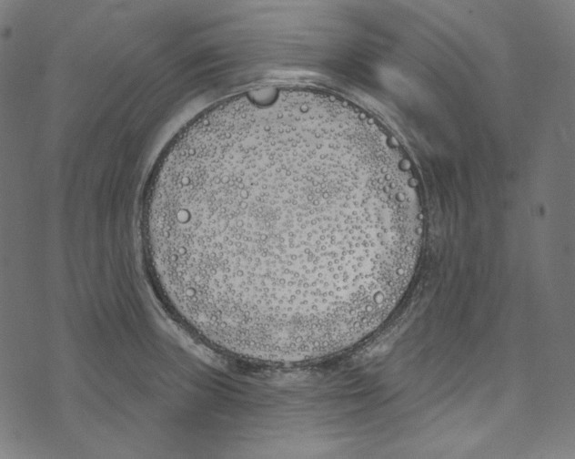 X0000073971235200609181443