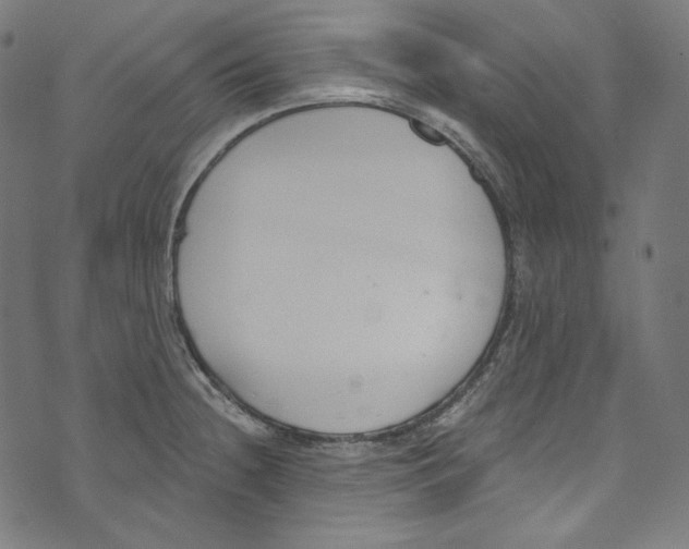 X0000073971236200609181443