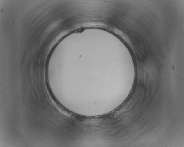 X0000073971237200609181443