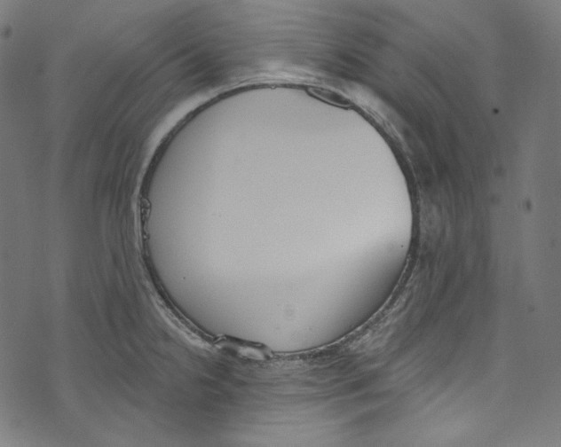 X0000073971238200609181443