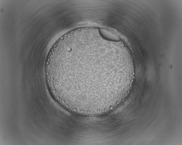 X0000073971239200609181443