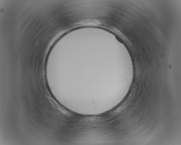 X0000073971240200609181443