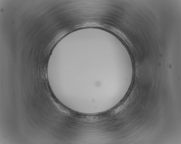 X0000073971241200609181443