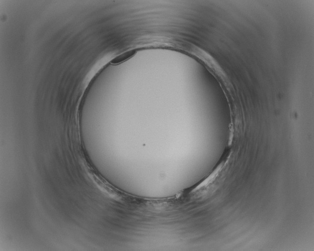 X0000073971242200609181443