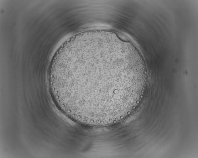 X0000073971243200609181443