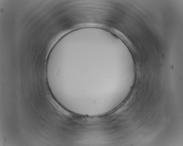 X0000073971244200609181443