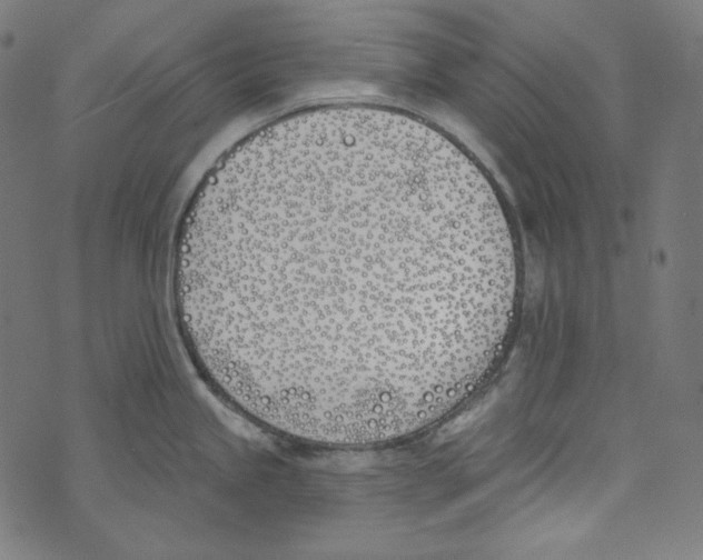 X0000073971245200609181443