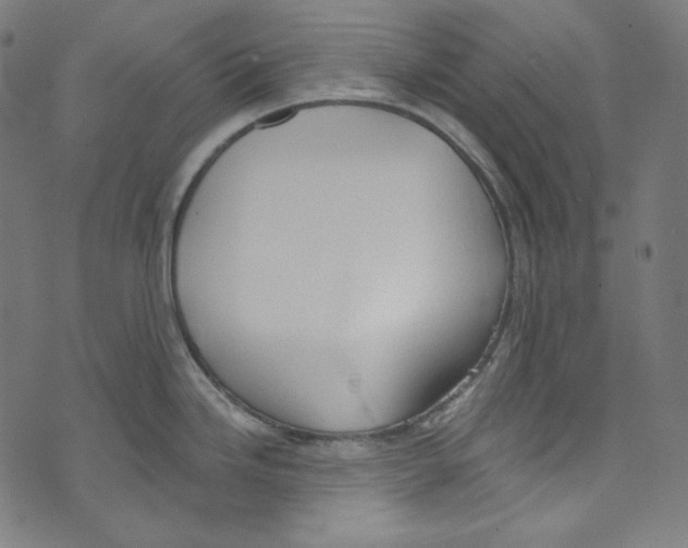 X0000073971246200609181443