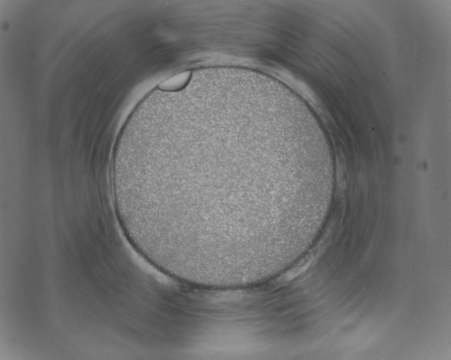 X0000073971247200609181443