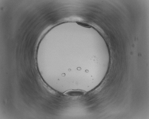 X0000073971248200609181443