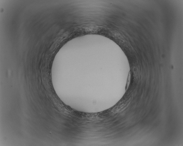 X0000073971249200609181443