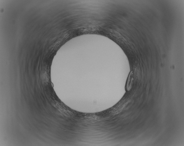 X0000073971250200609181443