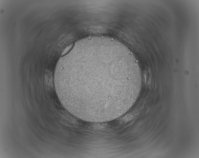 X0000073971251200609181443