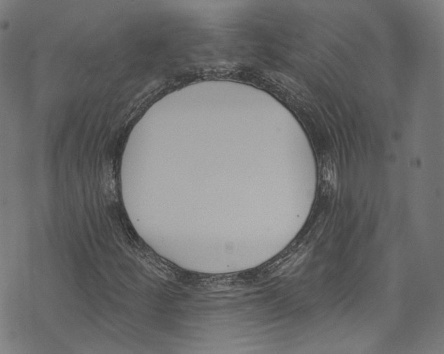 X0000073971252200609181443