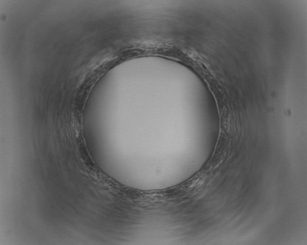 X0000073971253200609181442