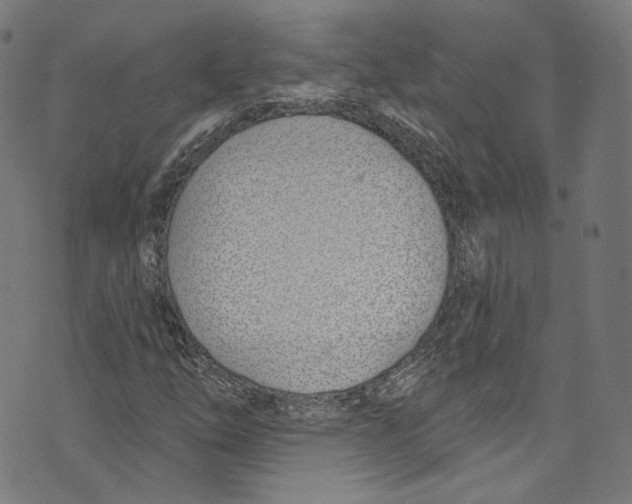 X0000073971254200609181442