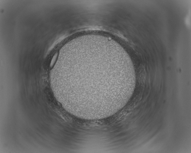 X0000073971255200609181442