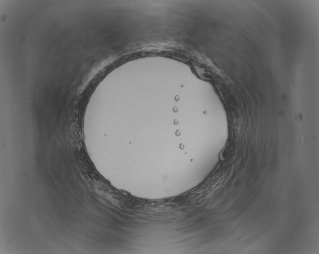 X0000073971256200609181442