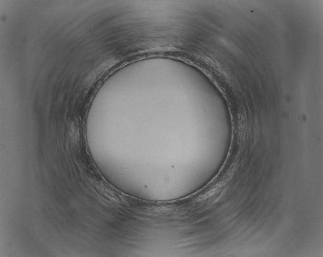 X0000073971257200609181442