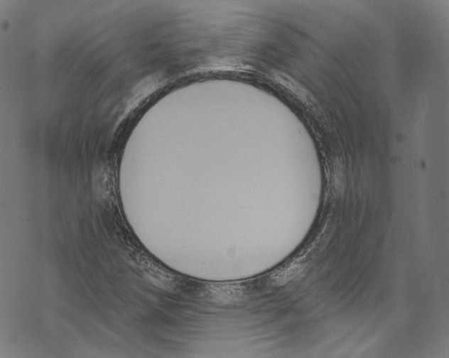 X0000073971258200609181442