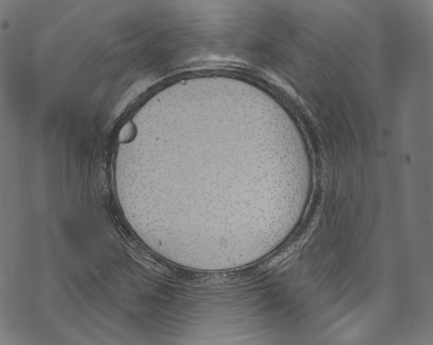 X0000073971259200609181442