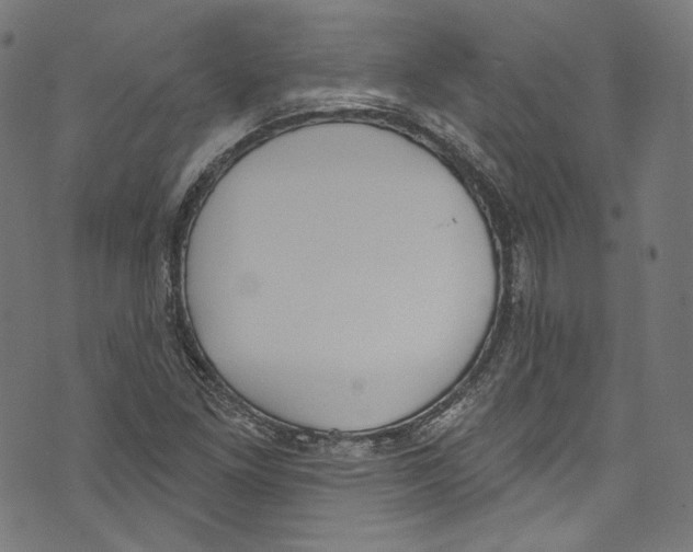 X0000073971261200609181442